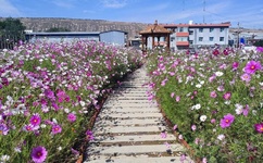 自愈自愈第一产区